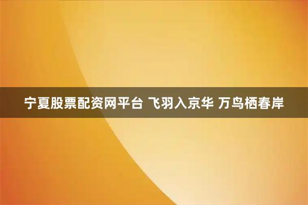 宁夏股票配资网平台 飞羽入京华 万鸟栖春岸